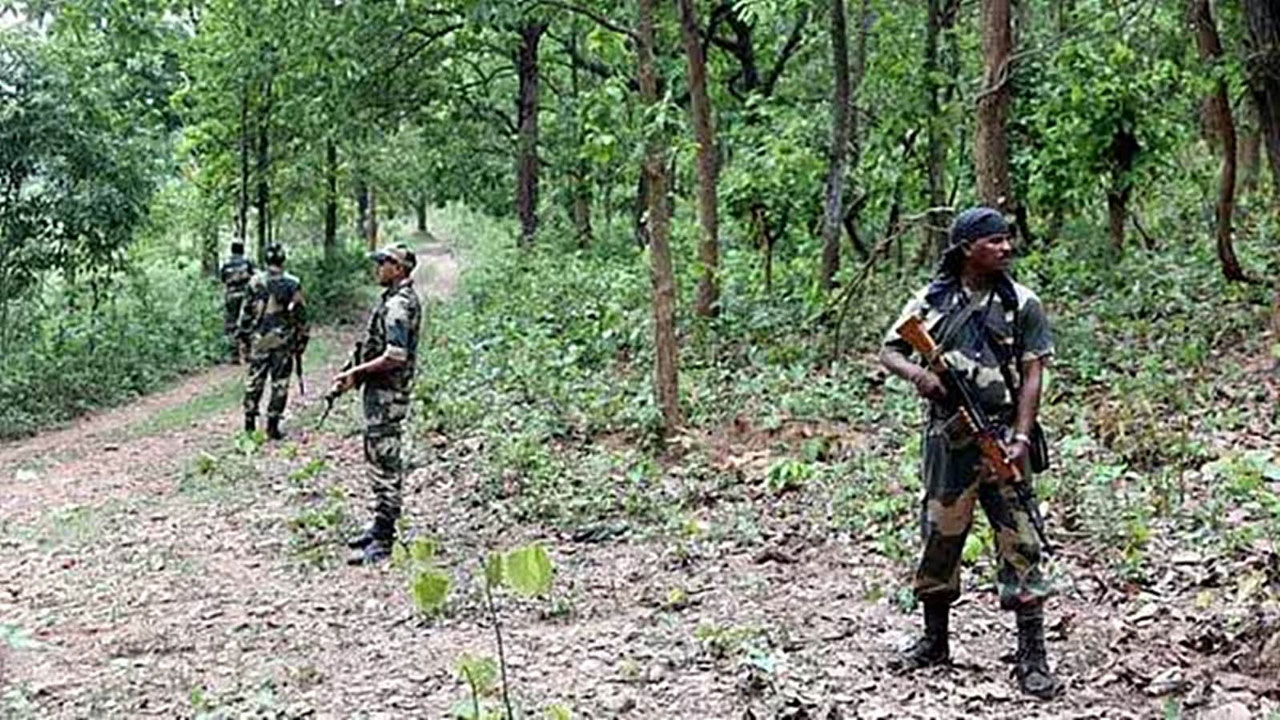 ভারতে জঙ্গলে ব্যাপক বন্দুকযুদ্ধ, ২ জওয়ানসহ নিহত ৩৩