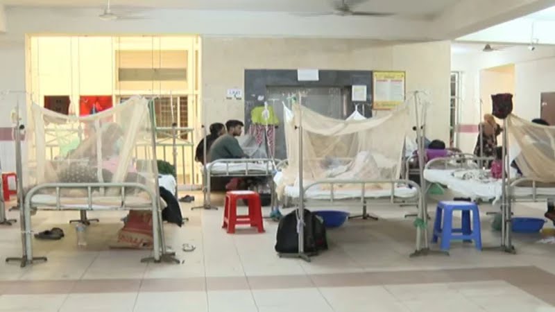 ডেঙ্গুতে আরো ৬ জনের মৃত্যু, হাসপাতালে ভর্তি ১১৯৫