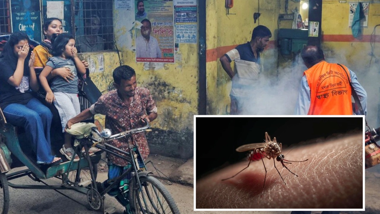 ডেঙ্গুতে একদিনে ২ মৃত্যু, হাসপাতালে ৭০৫