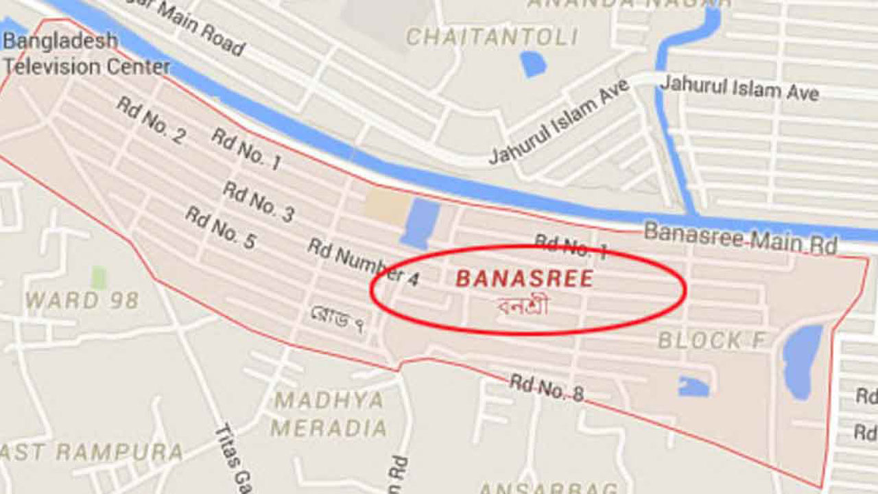 বনশ্রীতে পিকআপ ভ্যানের ধাক্কায় প্রাণ গেল নারীর 