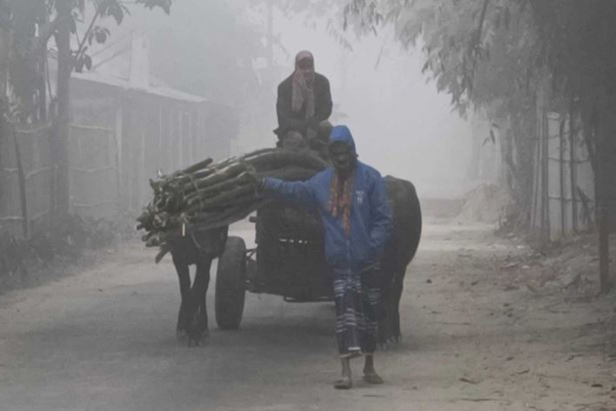 ৬ জানুয়ারি থেকে তীব্র শৈত্যপ্রবাহের শঙ্কা, তাপমাত্রা নামতে পারে ৪ ডিগ্রিতে